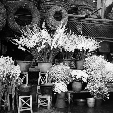 Flower Shop