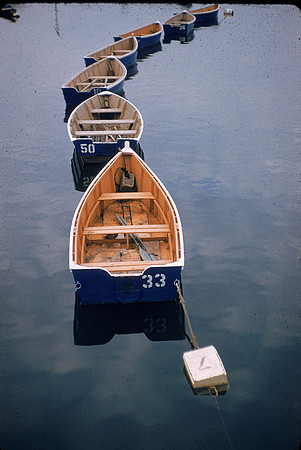 Rowboats in Line